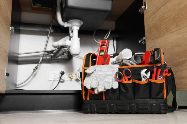 Best Same-Day Plumbing Service  in Chicago Ridge, IL